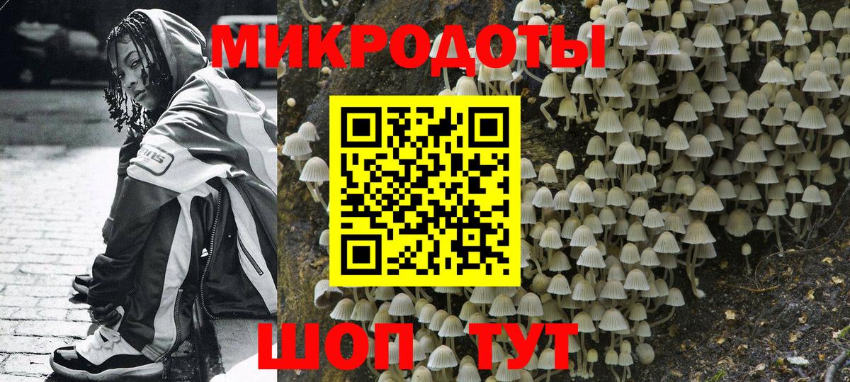 Псилоцибиновые грибы Psilocybe  Галлюциногенные грибы Psilocybine cubensis  Алатырь  Вход с VPN 